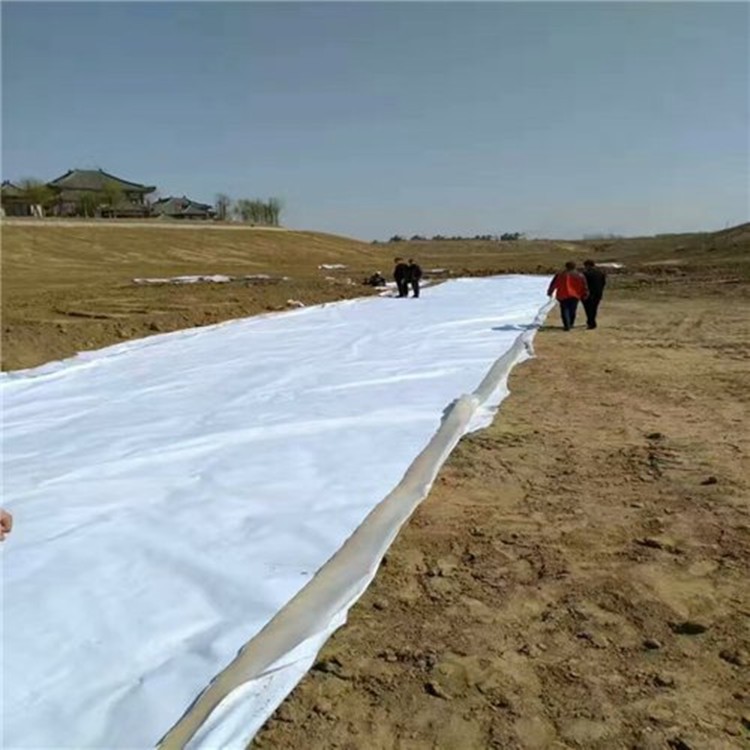 复合土工膜 (33).jpg